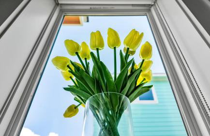 Wayward Sun Luxury 4BR Gulf Retreat w Pool, Hot Tub & Elevator - Foto 49