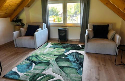 Krynicki Zakątek Domek Wypoczynkowy Całoroczny Mochnaczka Niżna - Foto 23