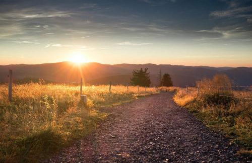 Appartements Waldrose - Foto 21