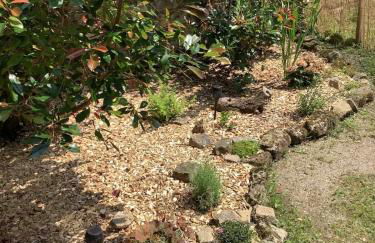 Lake View Cabin - Foto 11