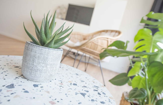 Ostend studio - Foto 44