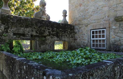 Cottage in Santa Comba With Pool - Photo 47