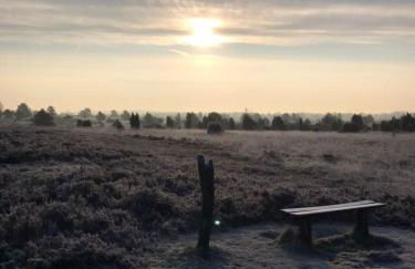 Garbers-Hof - Foto 11