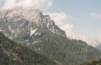 Biohof Untergröber - Foto 65