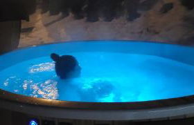 Aqua Apartments Spa Housemuhlbach - Photo 15