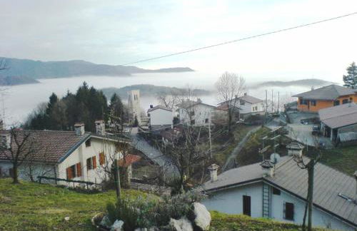 Ciclaminis - Photo 4