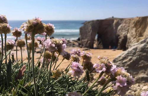 Ti Louker - Appartement à 300m du Port - Photo 38