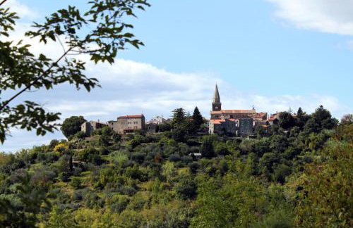 Apartments with WiFi Groznjan, Central Istria - Sredisnja Istra - 7038 - Foto 36