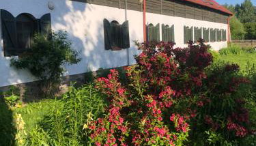 Uroczysko Deresze - Foto 1