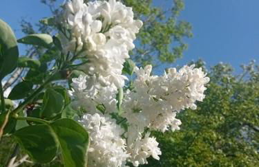 Entre terre et mer - Foto 1