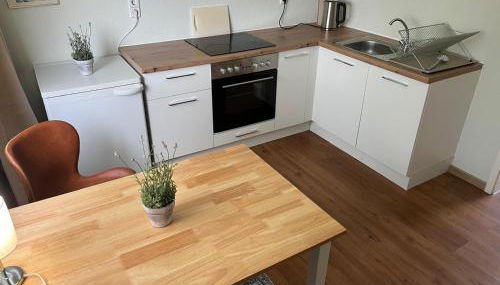 Ruhige Gartenwohnung - Foto 3, stove