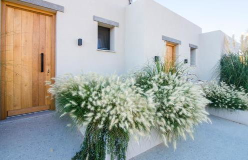 Amaranto Evgatis Limnos - Foto 34