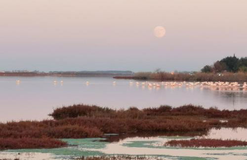 Villa Ananda - Surya - un havre de paix avec vue mer et étangs - Foto 24