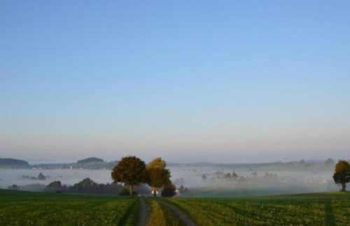 Ferienhof Schonmetzler - Foto 24