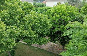 Casa dos avós - Foto 23