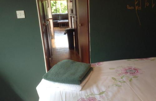 Glan Llyn Farm House - Foto 49