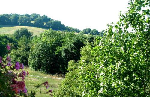 La Francigena - Foto 31