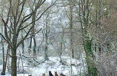 Apartamento colgante al río con vistas al puente - Photo 62