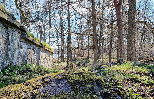 5 Person Holiday Home in Osby - Foto 6