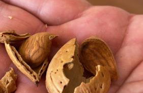 Villa Centenary Goose - Foto 38