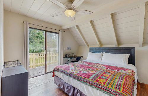 Sea Turtle Life - Photo 43