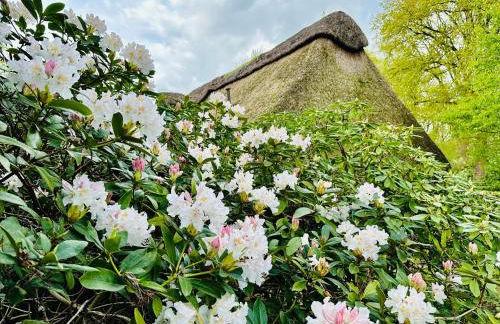 Ferienhaus im Schluh - Foto 1