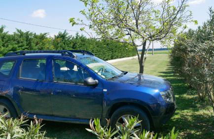 Mas Maurane - L'Olivier avec SPA privé aux portes d'ARLES - Foto 54