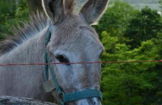 Agriturismo Le Spezie - Foto 68