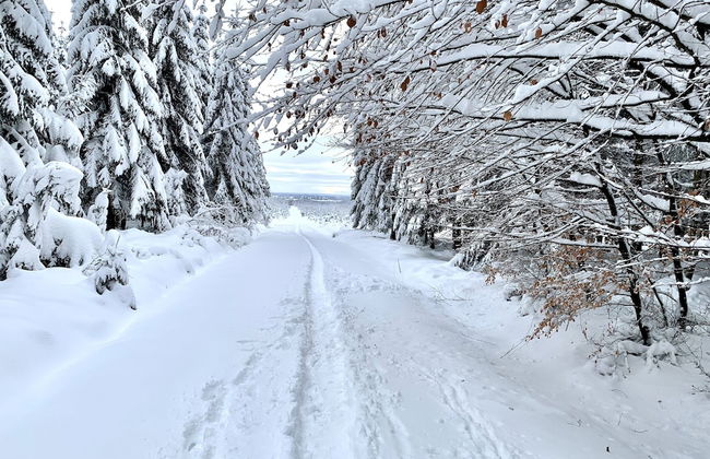 Beautiful Chalet Near the Forest in Malmedy - Foto 39