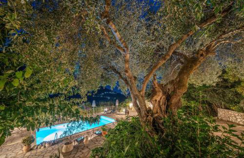 Villa Regina -Hidden Eden with Treehouse & Heated Pool - Foto 44