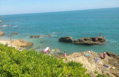 Happy Penna - Foto 47