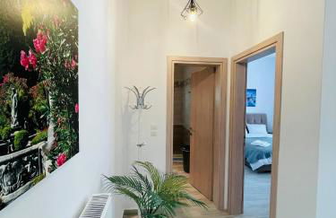 Zoi Studios - Foto 9