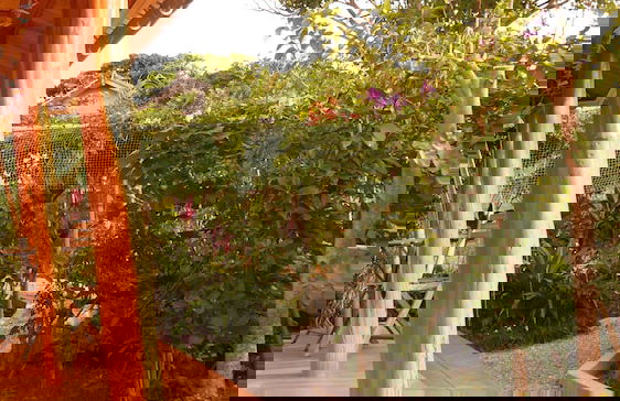 Kourijima KANAU - Foto 61