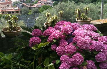 Villa San Francesco - Foto 23