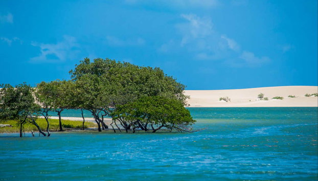 Galinhos Day Trip & Boat Cruise - Foto 3