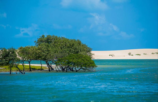 Galinhos Day Trip & Boat Cruise - Foto 3