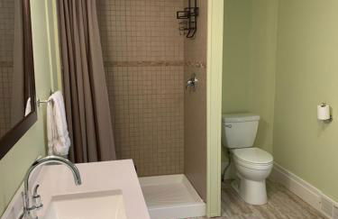 Red Brick Inn - Walk to the Falls, the Casino and all Downtown Restaurants - Photo 30