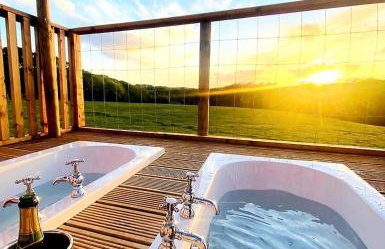 Luxury Safari Lodge-Sleeps 4 6-Deer Park-Dogs Ok - Foto 32