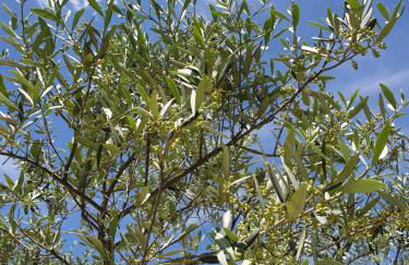 le Gecko en Provence - Foto 41