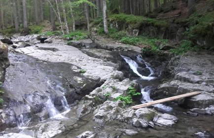 Monolocale Il Capriolo - Abetone - Foto 45