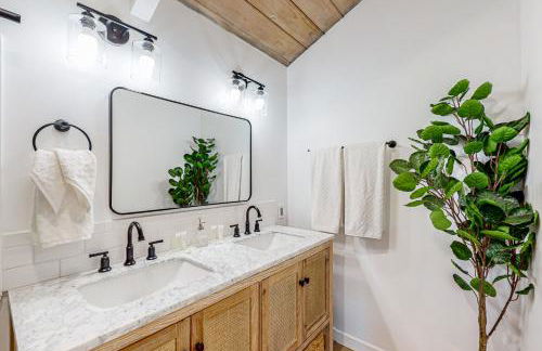 Saint Bernard Beauty - Foto 11