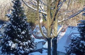 Monteur- und Ferienwohnung Waldrauschen - Foto 60