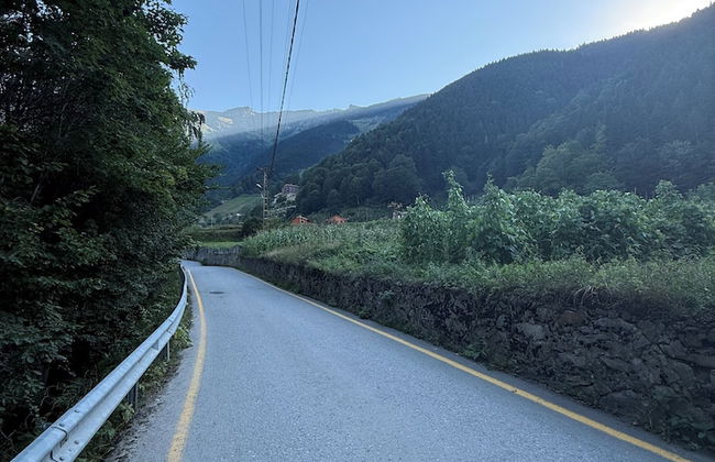 Uzungol Apart - Photo 21