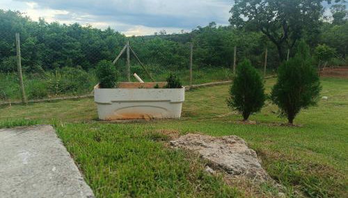 Estância da Mata, Brasil - Foto 2, Garden view