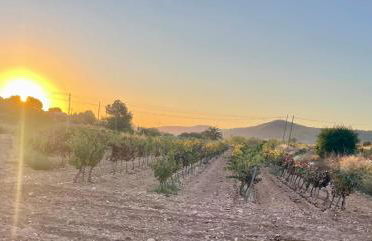 Casa Rural Ubeda - Full House - Casa Completa - Foto 77