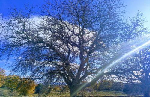 Casa Rural La Torreta en El Rincón de Ademuz - Foto 45