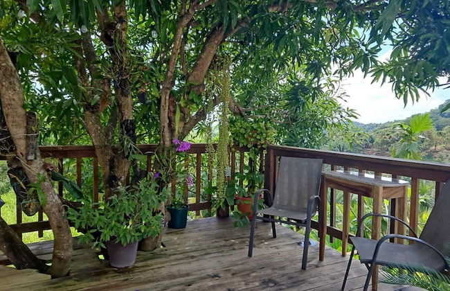 Casa Colibri - Foto 24