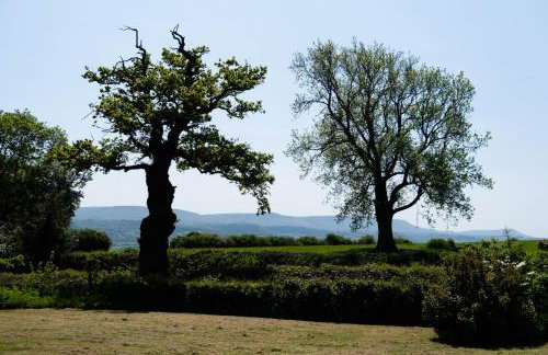 Welsh Border Escape- Perfect for families & groups - Foto 64