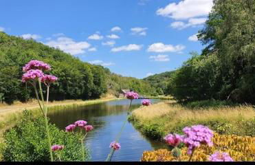 Gîte 16 écluses canal du Nivernais - Foto 9