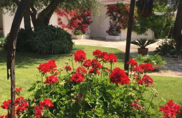 Villa sul mare Rosa Marina - Foto 13